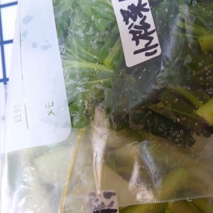 青菜はしょっちゅう使うので、小松菜の冷凍助かります♪